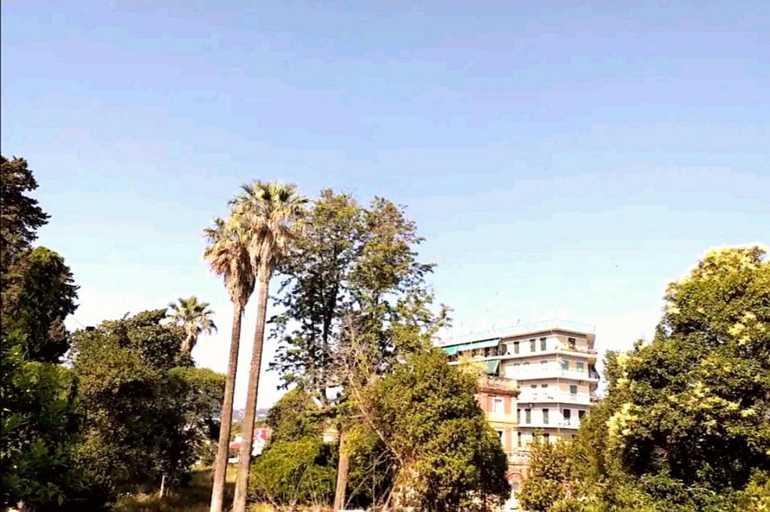 Villa Rosa Garden House Corfu  Εξωτερικό φωτογραφία