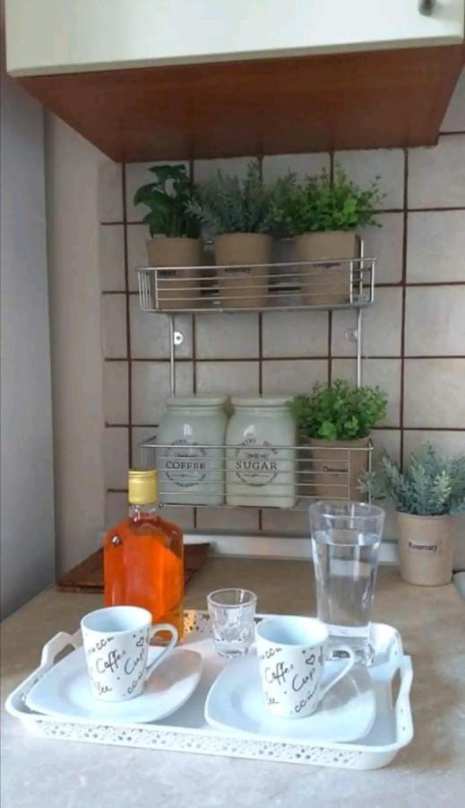 Villa Rosa Garden House Corfu  Εξωτερικό φωτογραφία