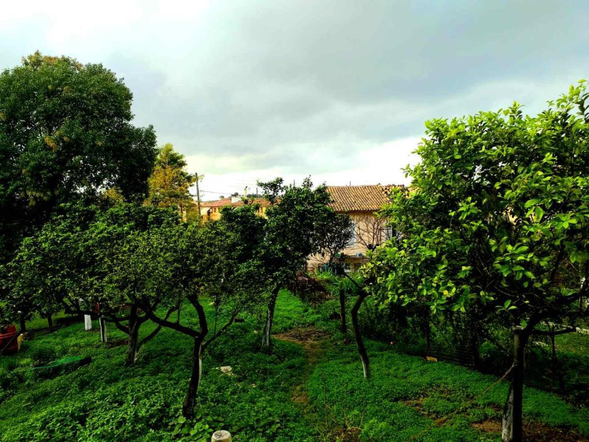 Villa Rosa Garden House Corfu  Εξωτερικό φωτογραφία